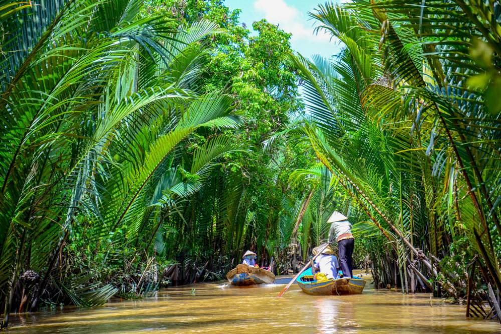 Il labirinto dei canali ombreggiati a Ben Tre